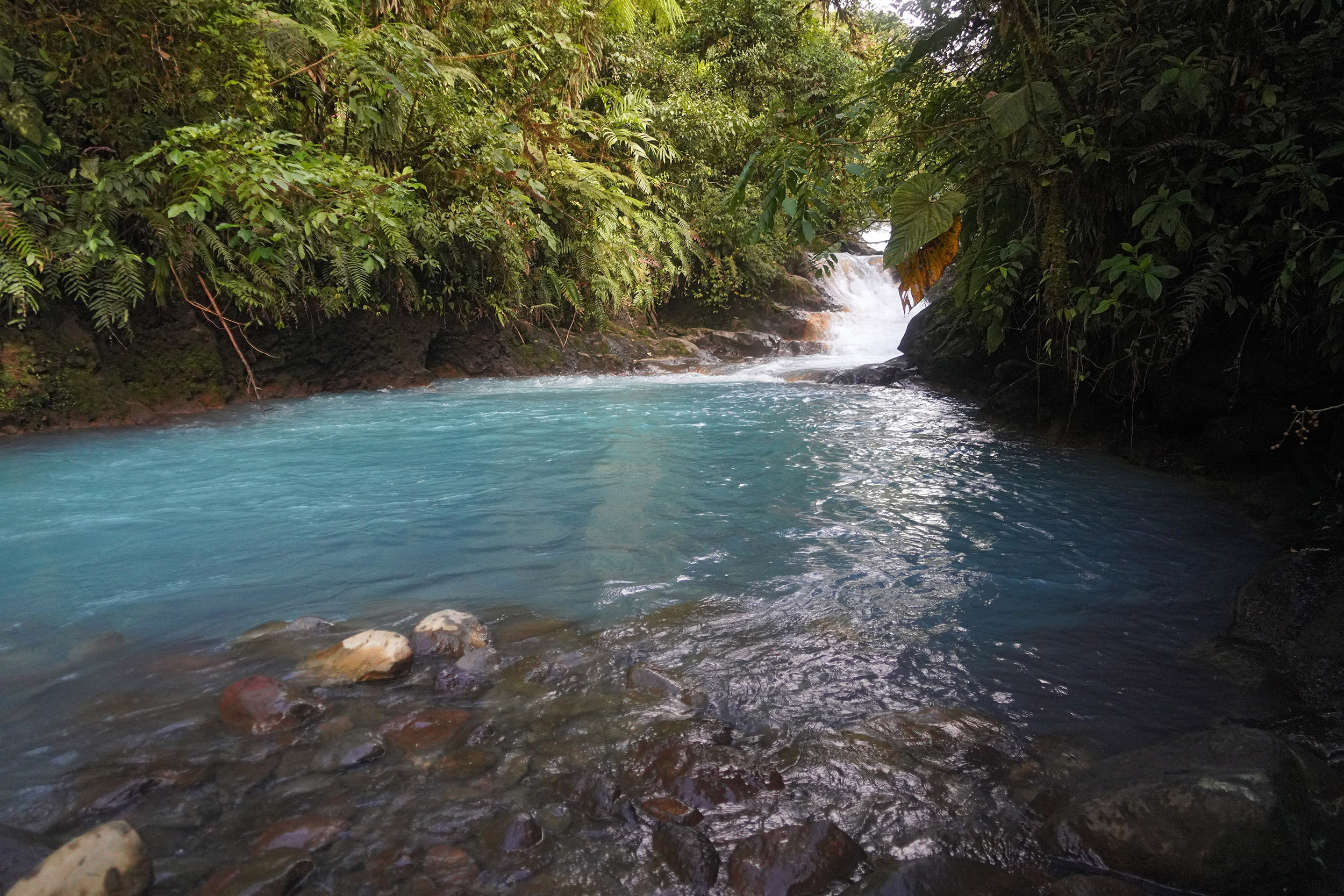 Costa Rica - Février 2025